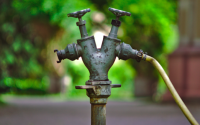 What They Don’t Tell You About Sales – The Missing Link