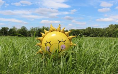 August – curse of the year, or is it?